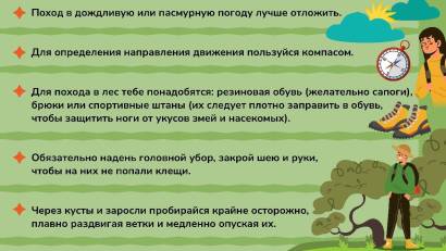 Правила безопасного поведения в лесу.